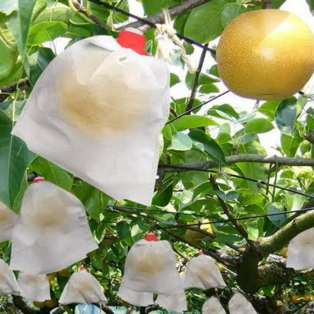 Fruit Cover for Fruit Crops