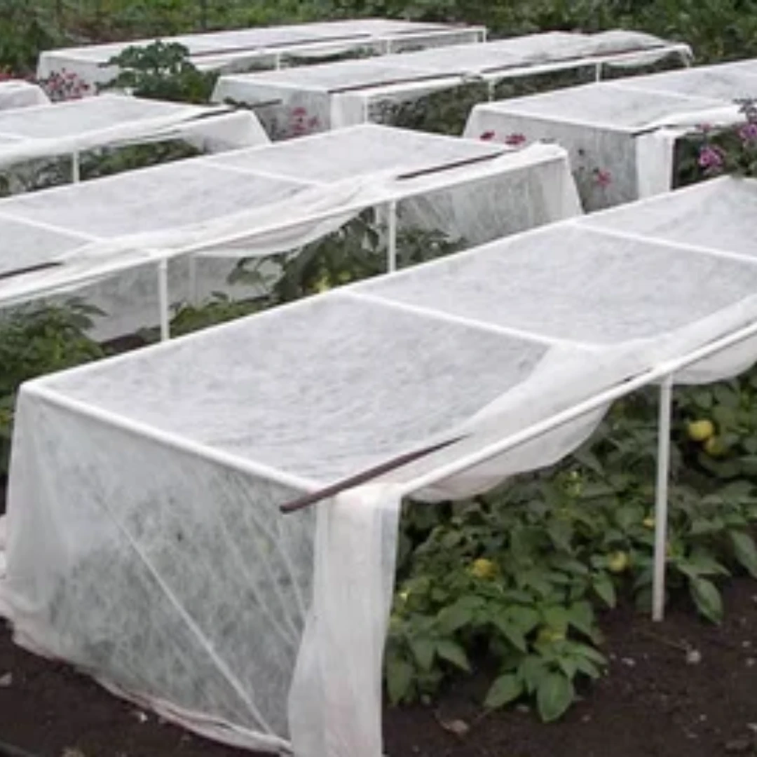 Garden Cover for Plants and Landscaping